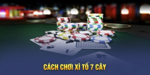 xì tố 7 cây