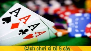 Xì Tố 5 Cây